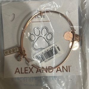 Alex and ani bangle